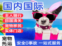 阿克苏红旗坡机场物流国际宠物托运 【国